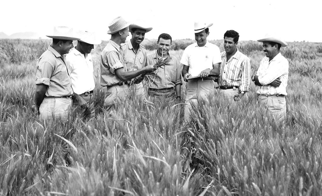 a pen of my tribute page to Dr. Norman Borlaug
